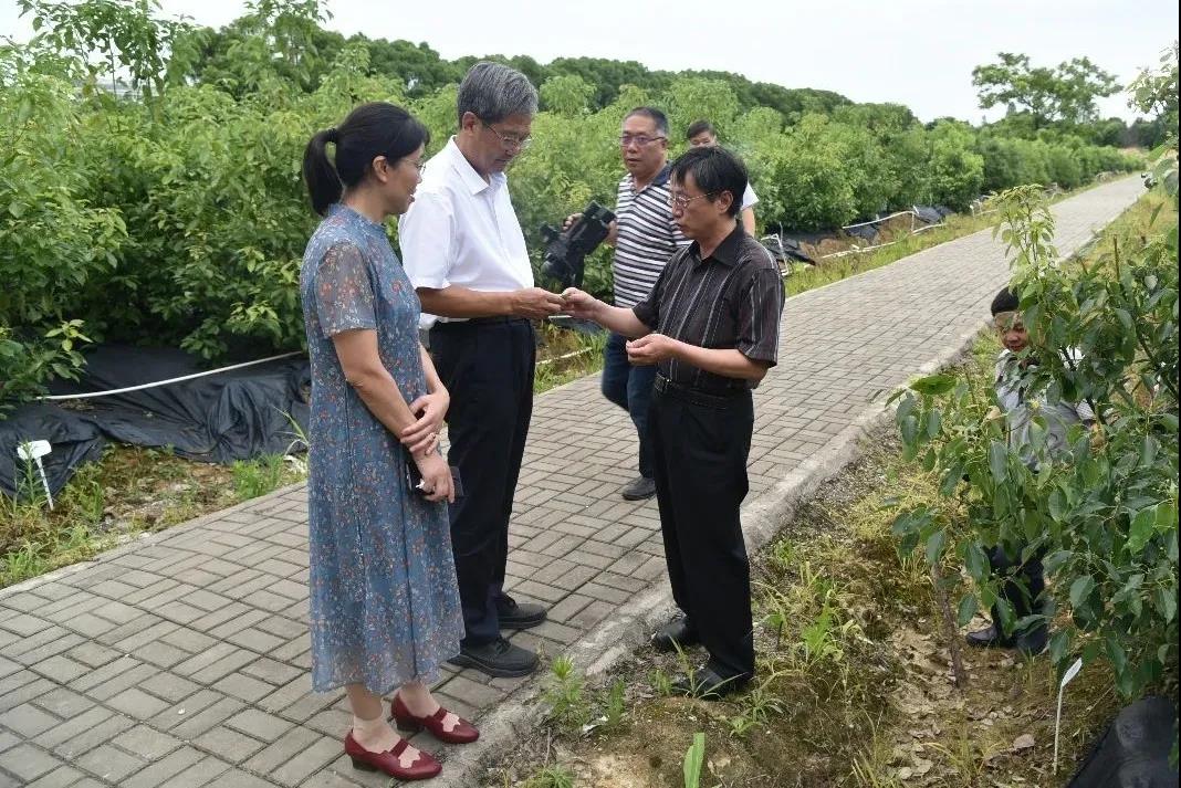 九三学社南昌工程学院基层委员会召开换届会议